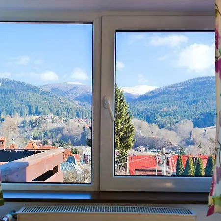 Amurguluibnb 3 With Mountain View Busteni