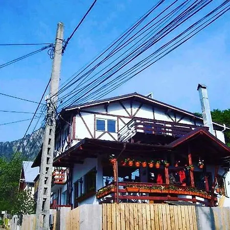 Amurguluibnb 3 With Mountain View Busteni